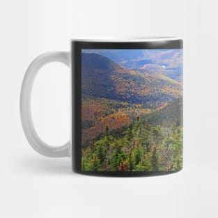 Foliage Covered Mountainscape Keene Valley Adirondacks New York Mug